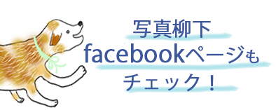 facebookpage